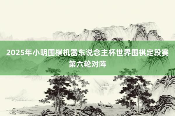 2025年小明围棋机器东说念主杯世界围棋定段赛第六轮对阵