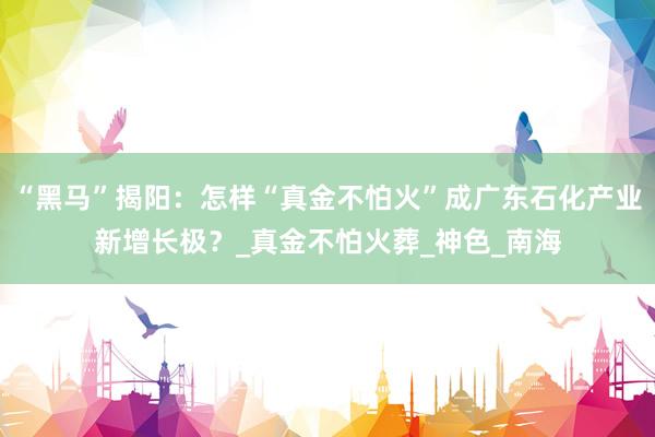 “黑马”揭阳：怎样“真金不怕火”成广东石化产业新增长极？_真金不怕火葬_神色_南海