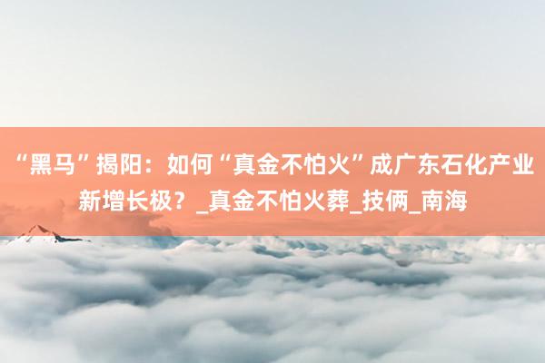 “黑马”揭阳：如何“真金不怕火”成广东石化产业新增长极？_真金不怕火葬_技俩_南海