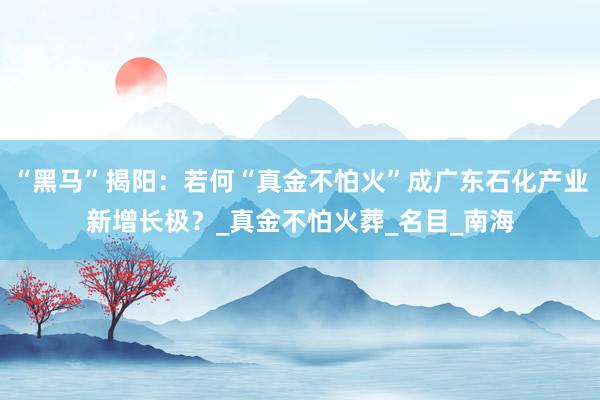 “黑马”揭阳：若何“真金不怕火”成广东石化产业新增长极？_真金不怕火葬_名目_南海
