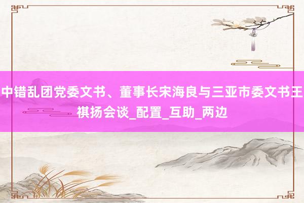 中错乱团党委文书、董事长宋海良与三亚市委文书王祺扬会谈_配置_互助_两边