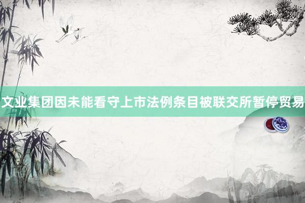 文业集团因未能看守上市法例条目被联交所暂停贸易