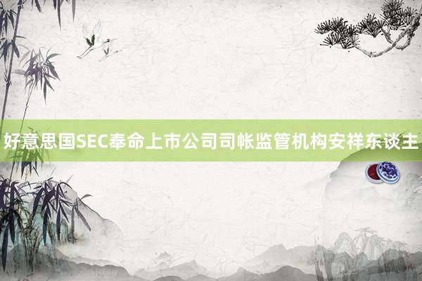 好意思国SEC奉命上市公司司帐监管机构安祥东谈主