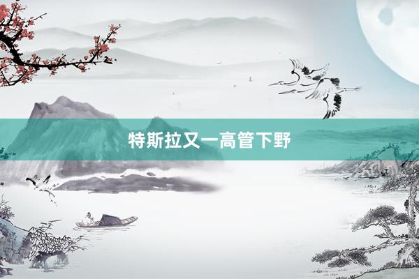特斯拉又一高管下野