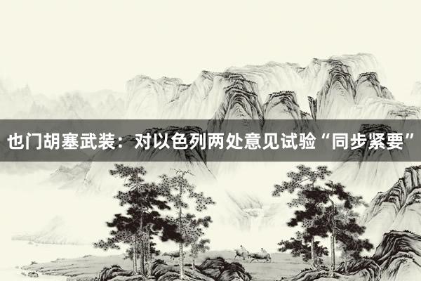 也门胡塞武装：对以色列两处意见试验“同步紧要”
