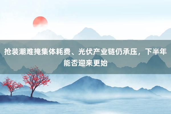 抢装潮难掩集体耗费、光伏产业链仍承压，下半年能否迎来更始
