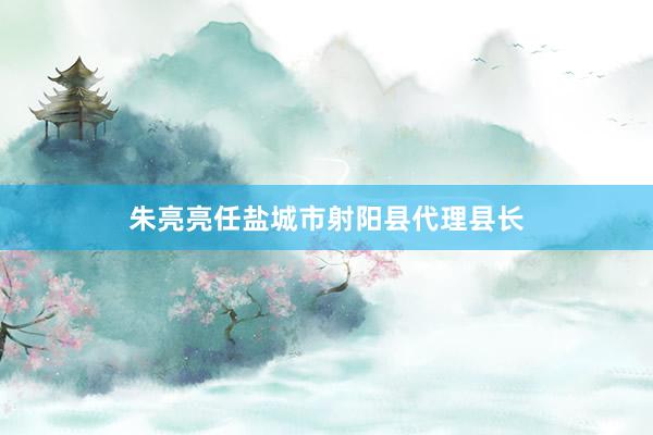 朱亮亮任盐城市射阳县代理县长