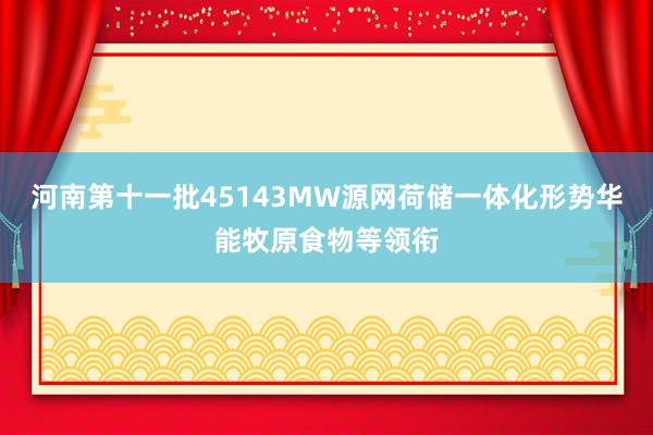 河南第十一批45143MW源网荷储一体化形势华能牧原食物等领衔
