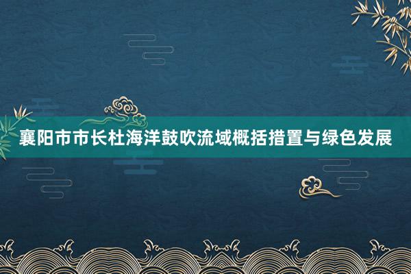 襄阳市市长杜海洋鼓吹流域概括措置与绿色发展