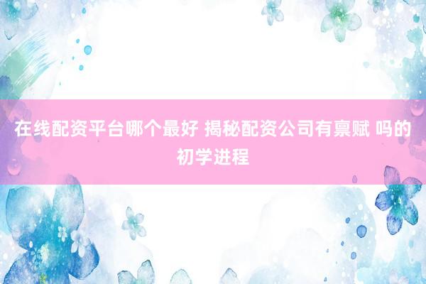 在线配资平台哪个最好 揭秘配资公司有禀赋 吗的初学进程