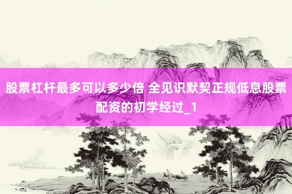 股票杠杆最多可以多少倍 全见识默契正规低息股票配资的初学经过_1