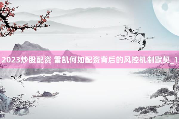 2023炒股配资 雷凯何如配资背后的风控机制默契_1