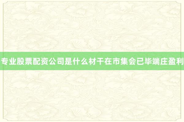 专业股票配资公司是什么材干在市集会已毕端庄盈利
