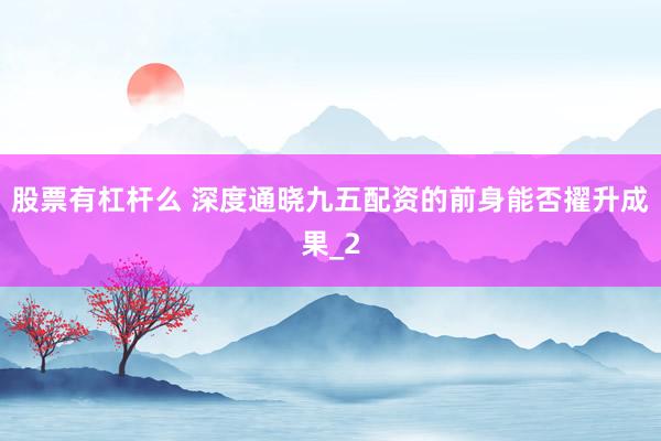 股票有杠杆么 深度通晓九五配资的前身能否擢升成果_2