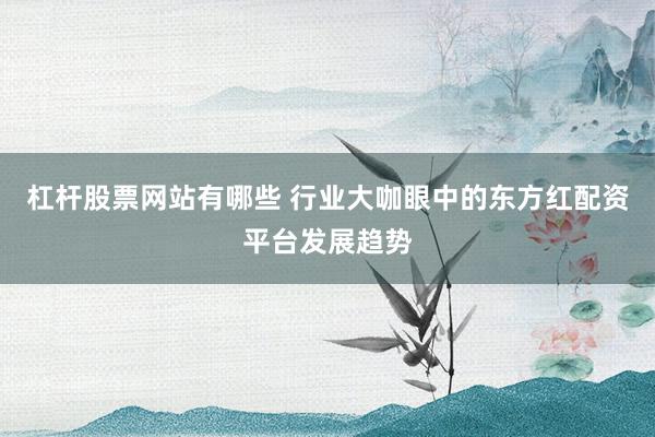杠杆股票网站有哪些 行业大咖眼中的东方红配资平台发展趋势