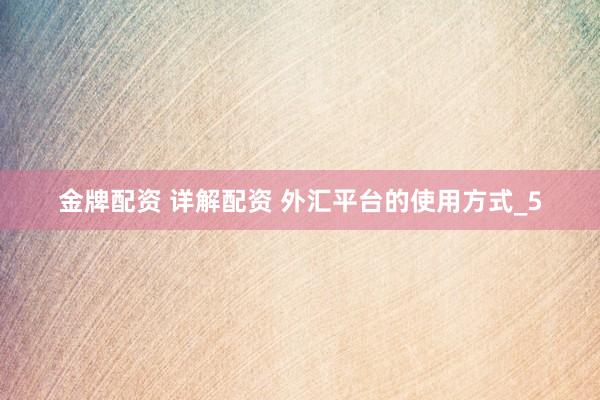 金牌配资 详解配资 外汇平台的使用方式_5