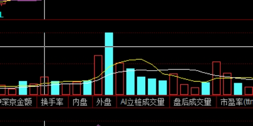 股票配资中的多因子量化模型构建与应用
